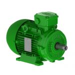 Electric motor :: WEG W21 - Aluminium Frame - Premium Efficiency - IE3