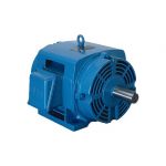 Electric motor :: WEG ODP High Efficiency Motors