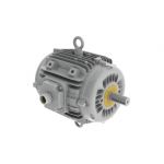 Electric motor :: WEG W22 Smoke Extraction Motors - F400 (2 hours) - TEAO - IE3