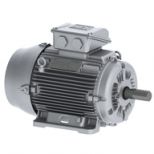 Electric motor :: WEG W22 Smoke Extraction Motors - F400 (2 hours) - TEFC - IE3