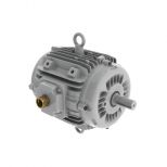 Electric motor :: WEG W22 Smoke Extraction Motors - F300 (2 hours) - TEAO - IE3