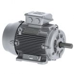 Electric motor :: WEG W22 Smoke Extraction Motors - F300 (1 hour) - TEFC - IE3