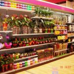 Gardening shop shelves :: MARSANZ