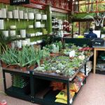 Gardening shop shelves :: MARSANZ