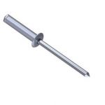 Lentil head rivet steel :: GESIPA Monel®