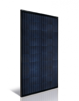 Polycrystalline photovoltaic module ASTRONERGY ASM6610P(BL)