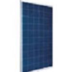 Polycrystalline photovoltaic module :: ASTRONERGY ASM6610P