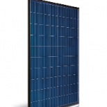 Polycrystalline photovoltaic module :: ASTRONERGY ASM6610P (BF) (Made in Germany)