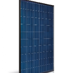 Polycrystalline photovoltaic module :: ASTRONERGY ASM6610P (BF) (Made in Germany)