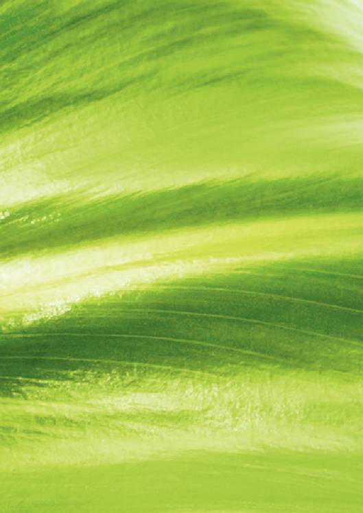 Catálogo ELNEOS CONNECT Bancos de trabajo 3