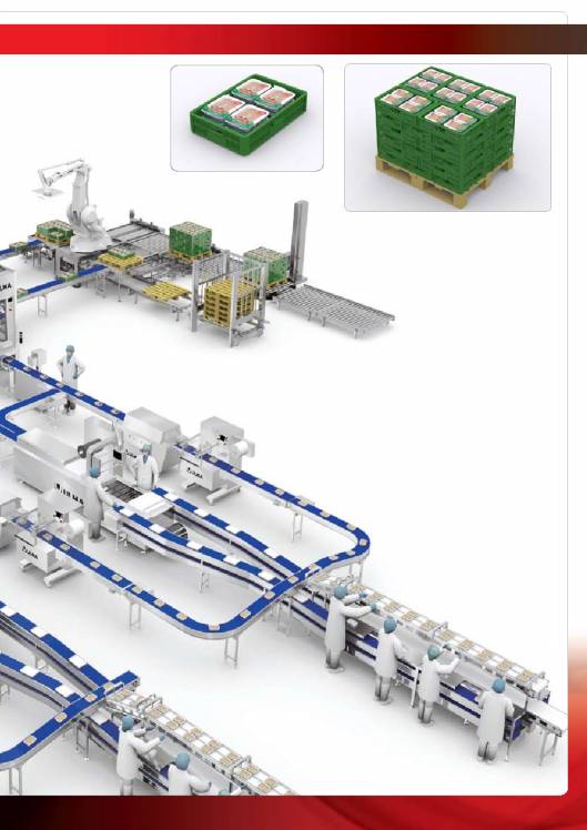 Soluciones de envasado para productos avícolas (pollo, pavo, pato ...) ULMA. 9
