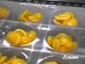 Fruit packaging cut in pieces in thermoforming in rigid film